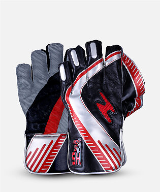 HS 5 STAR WICKET KEEPING GLOVES