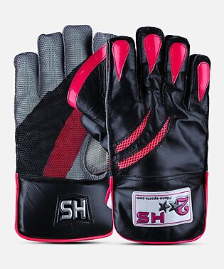 HS 2 STAR WICKET KEEPING GLOVES