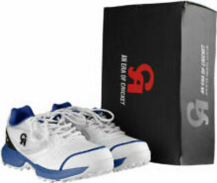 CA Cricket Shoes 15k LE-Blue