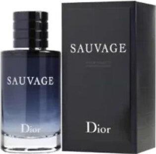 Dior Sauvage Eau De Toilette Perfume 100ml