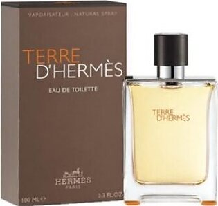 Hermes Terre D’Hermes Perfume 100ml EDT