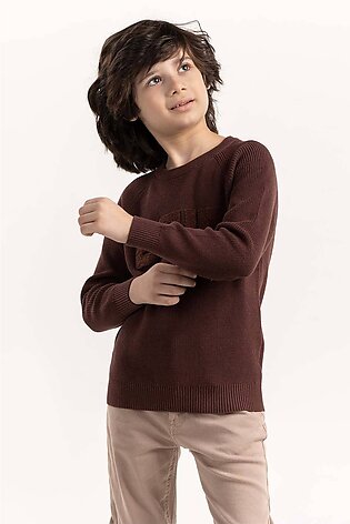 Junior Boy Brown Knit Sweater 224-311-015