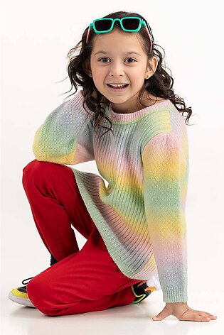 Toddler Girl Multi-Colored Knit Sweater With Crew Neck 224-611-012