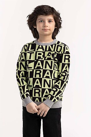 Junior Boy Multi Knit Sweater 224-311-036