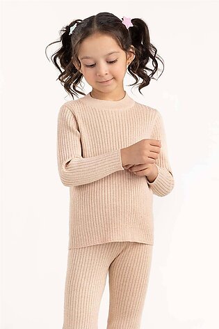 Toddler Girl Brown Ribbed Sweater With Turtle Neck 224-616-303