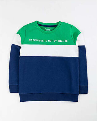Product Title: Junior Boy Green Color Fashion Sweat Shirt MATERIAL & CARE: Terry Machine or Handwash upto 30°C/86F Gentle cycle Do not Dry in Direct Sunlight Do not Bleach Do not Iron directly on Prints/Embroidery