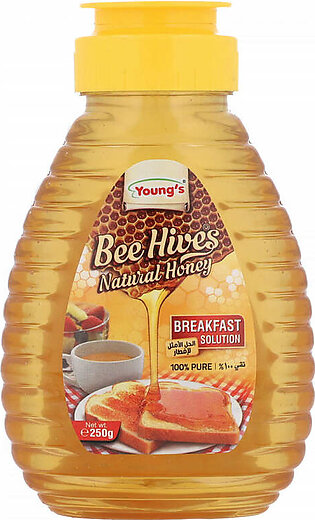 Youngs Bee Hives Natural Honey 250 g