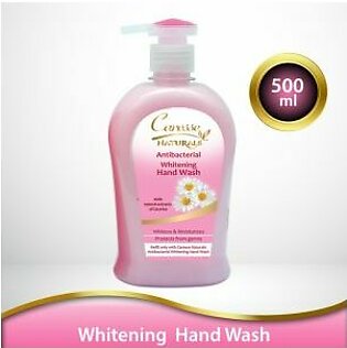 Caresse Anticterial Hand Wash 500Ml