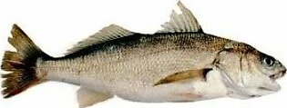 Dhotar / Craoker fish 2kg