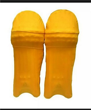 Pair Of Cover Batting Pad - Safely Dust Proof - Multicolor