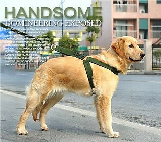 High Quality Harness+ Leash For Dogs -adjustable