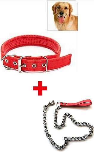 Dog Soft Collar + Heavy Duty Chain Leash ( Pack of 2 )