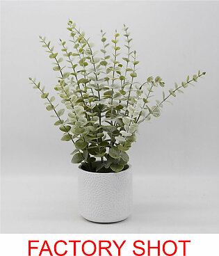 Fiori Eucalyptus with White Pot - Premier Home-2907053