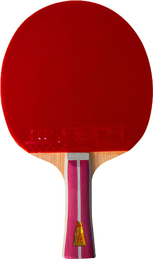 DOUBLE FISH 2A+C TABLE TENNIS RACKET