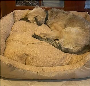 Dog bed size XXL