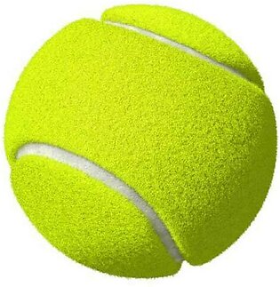Tennis Ball -Single Piece