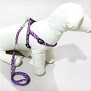 Cat Harness & Long Leash - Purple