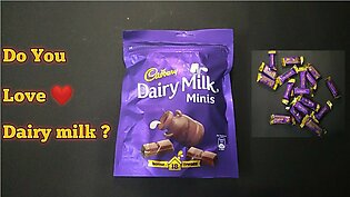 Cadbury Dairy Milk Chocolate, Mini Bars 160gm