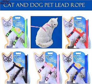 Cat Harness And Leash- Multicolor Best Quality