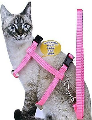 Cat Lead Harness Nylon Strap Belt - Adjustable