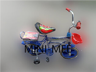 Carton Character Two Wheeler Cycle For Kids