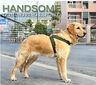 Dog Harness With Leash-adjustable- Size ( Xl)- Hight Quality Nylon Material
