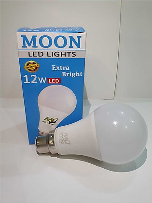 12 Watt Led Bulb
