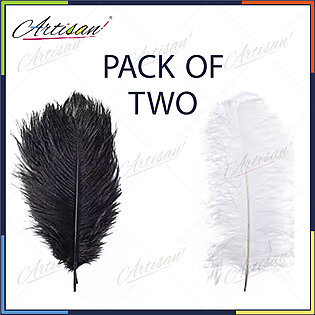 Artisan - Pack Of 2 - 1Pc White And 1Pc Black Ostrich Feather