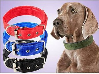Dog Collar - 22 Inches