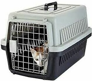 Jet Box Pet Carrier For Cat & Puppy