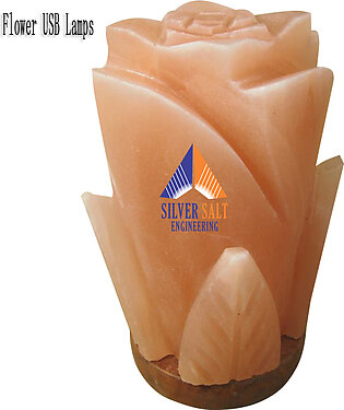 Multi Color Chaning Usb Flower Shape Himalayan Salt Lamp For Home Decoration