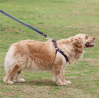 Dog Harness+leash - Medium - Adjustable