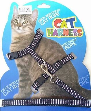 Cat Harness + And Lead