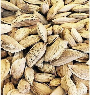 Premium Quality Kagzi Almonds Enriched