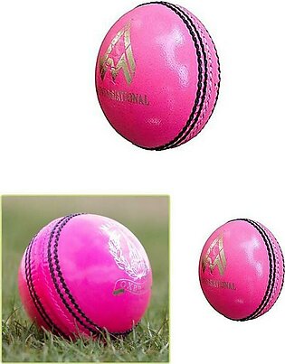 Indoor Rubber Cricket Ball - Pink - 70gm