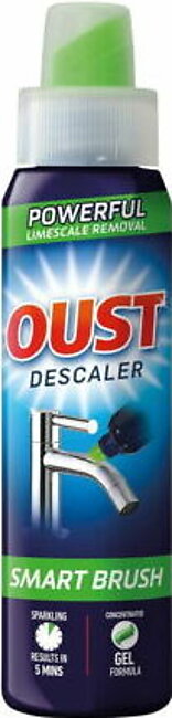 Oust Descaler Smart Brush 300ml