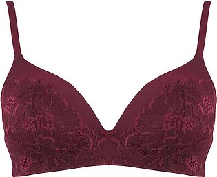 Purchase IFG Vision Bra, Black Online at Special Price in Pakistan - Naheed. pk