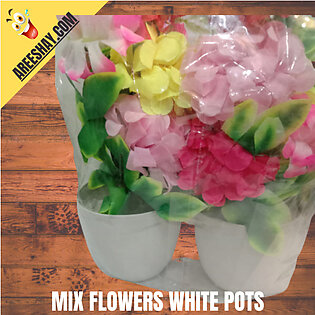 MIX ARTIFICIAL FLOWERS IN WHITE POTS