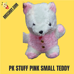 TEDDY BEAR STUFF TOY FOR KIDS PK STUFF PINK SMALL TEDDY