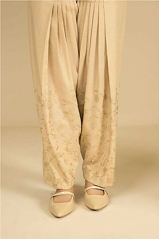 PW22-62-Embroidered Shalwar