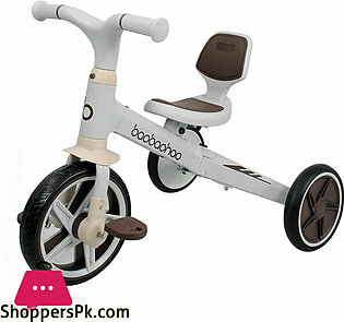 Baobaohao 3 in 1 Tricycle