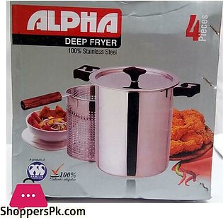 ALPHA 19cm Stainless steel deep fryer for French fries chicken fish and onion ring and much more
