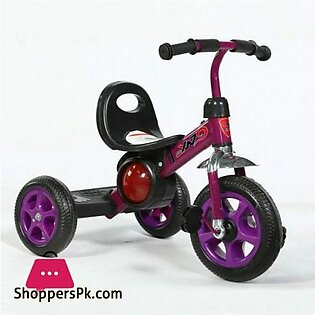 Baby Kids Tricycle Stroller Trike Bike – 819