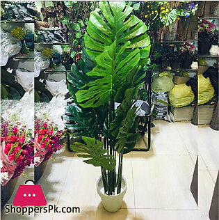 Artificial Mony Plant With Pot