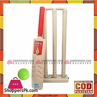 Small Cricket Bat Cricket Ball with Wicket Set For Kids Size 2