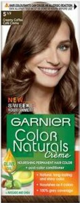 Garnier Cremy Coffee Hair Colour