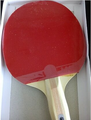 Champion Table Tennis Rackets Pair With Net Balls