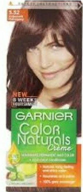 Garnier Color Naturals Hair Color 5.52