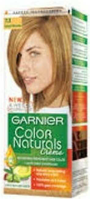 Garnier Hair Color Natural 7.3