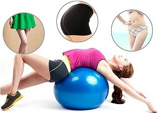 Yoga Ball Pilates Indoor Sport Fitness Balance Exercise Training Ball With Pump